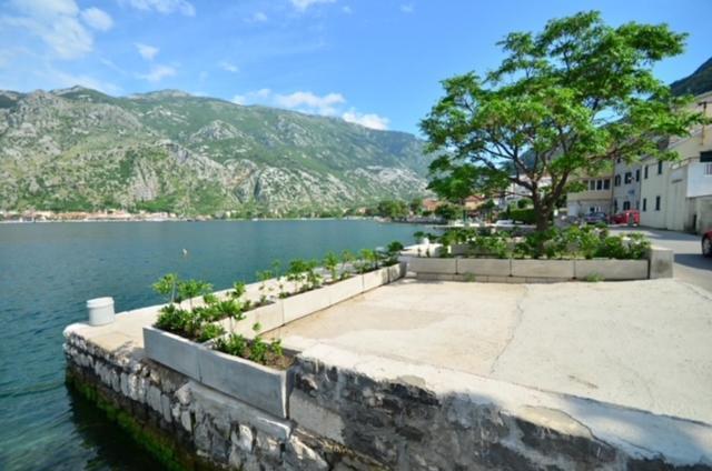Nikola Lux Apartments Muo ภายนอก รูปภาพ