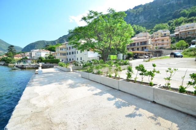 Nikola Lux Apartments Muo ภายนอก รูปภาพ